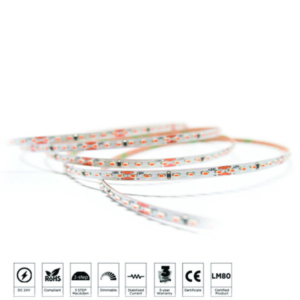 STRIPMASTER-4