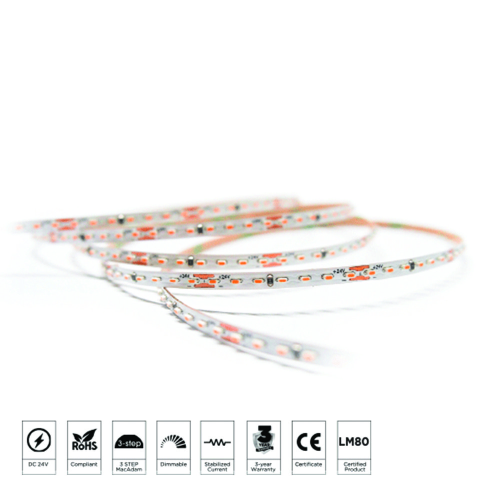 STRIPMASTER-4