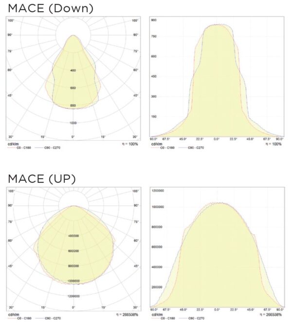 MACE - Image 3