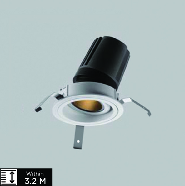 VEERA-1