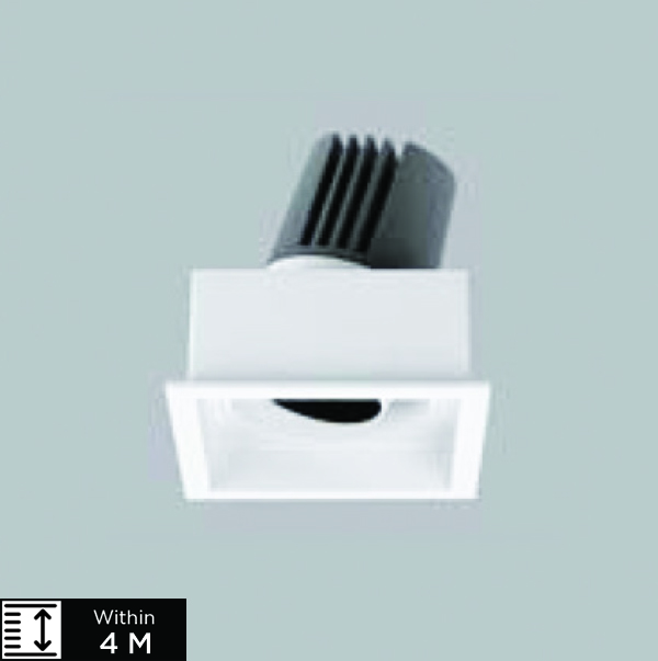 VEERA-2S