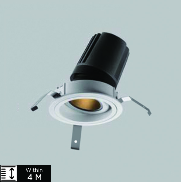 VEERA-2