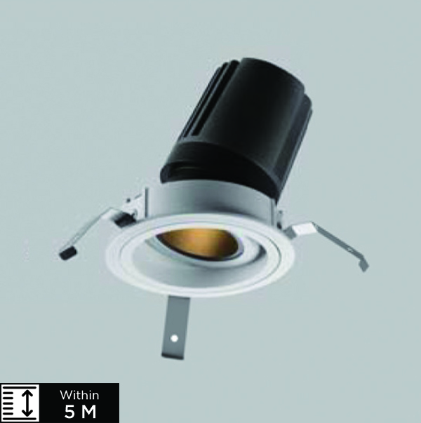 VEERA-3