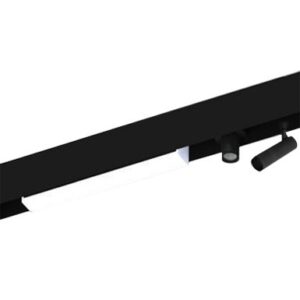 Linear System