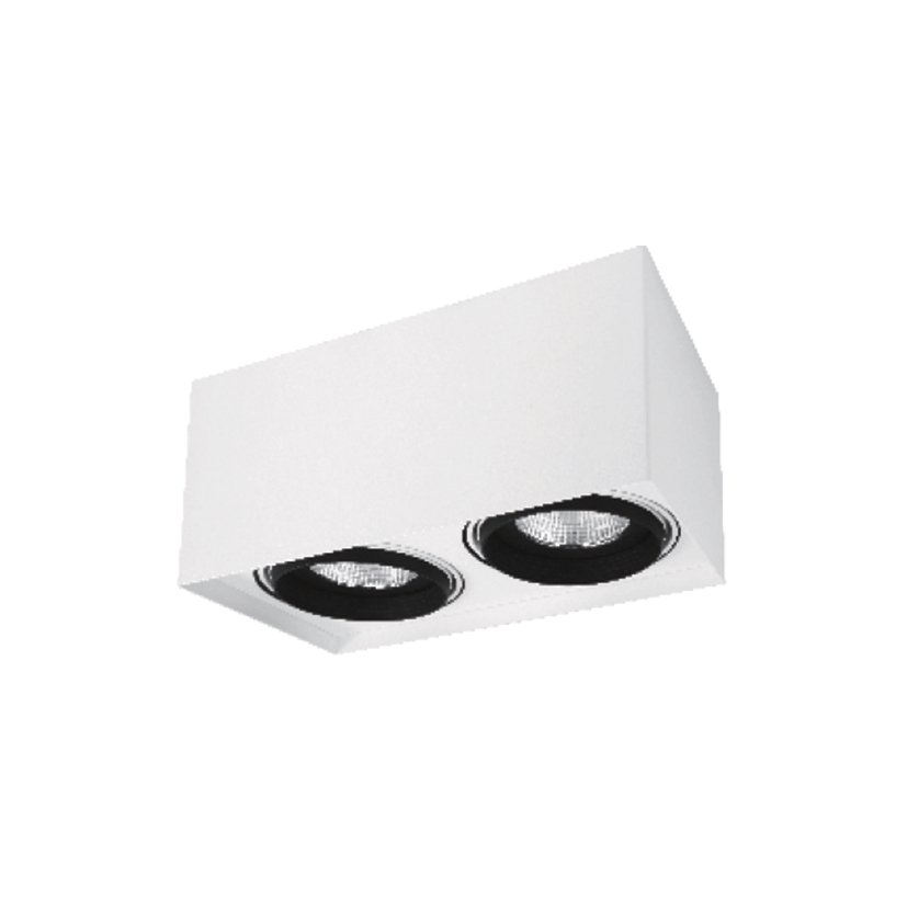 Surface Downlight